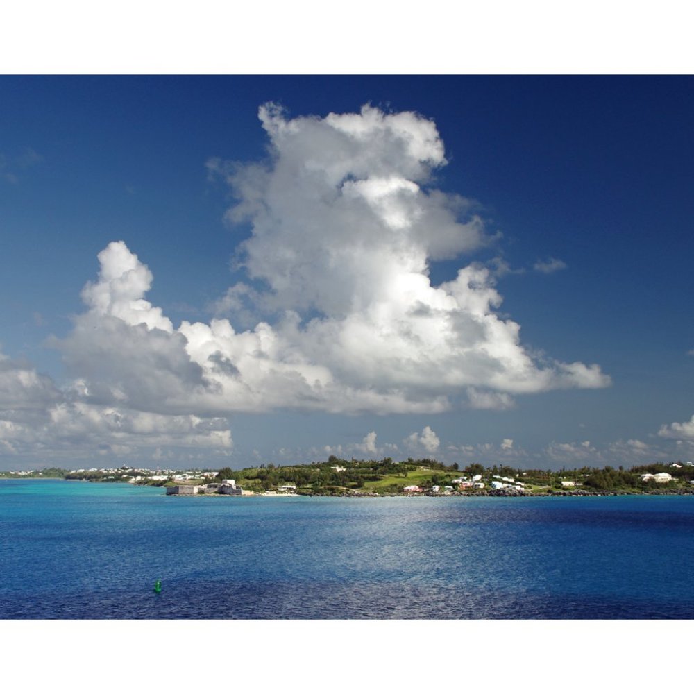 Bermuda Shore  8 x 10 print